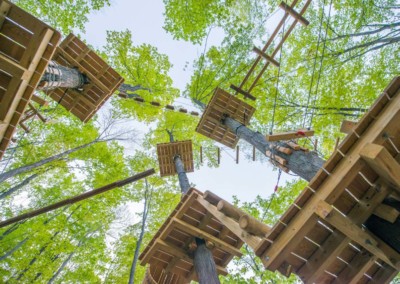 Looking up at Aerial Adventure Course