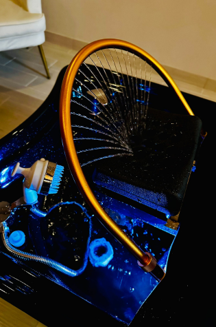 serenity spa interior with foot station